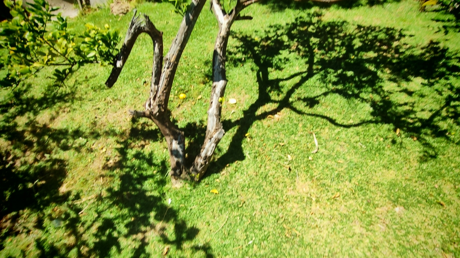 4 Bedroom Property for Sale in Cradock Eastern Cape